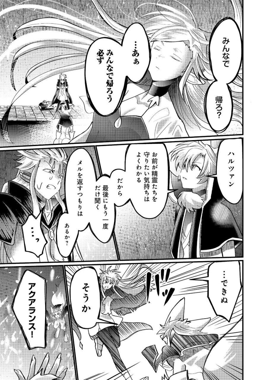 忌み子と呼ばれた召喚士 第47.1話 - Page 19