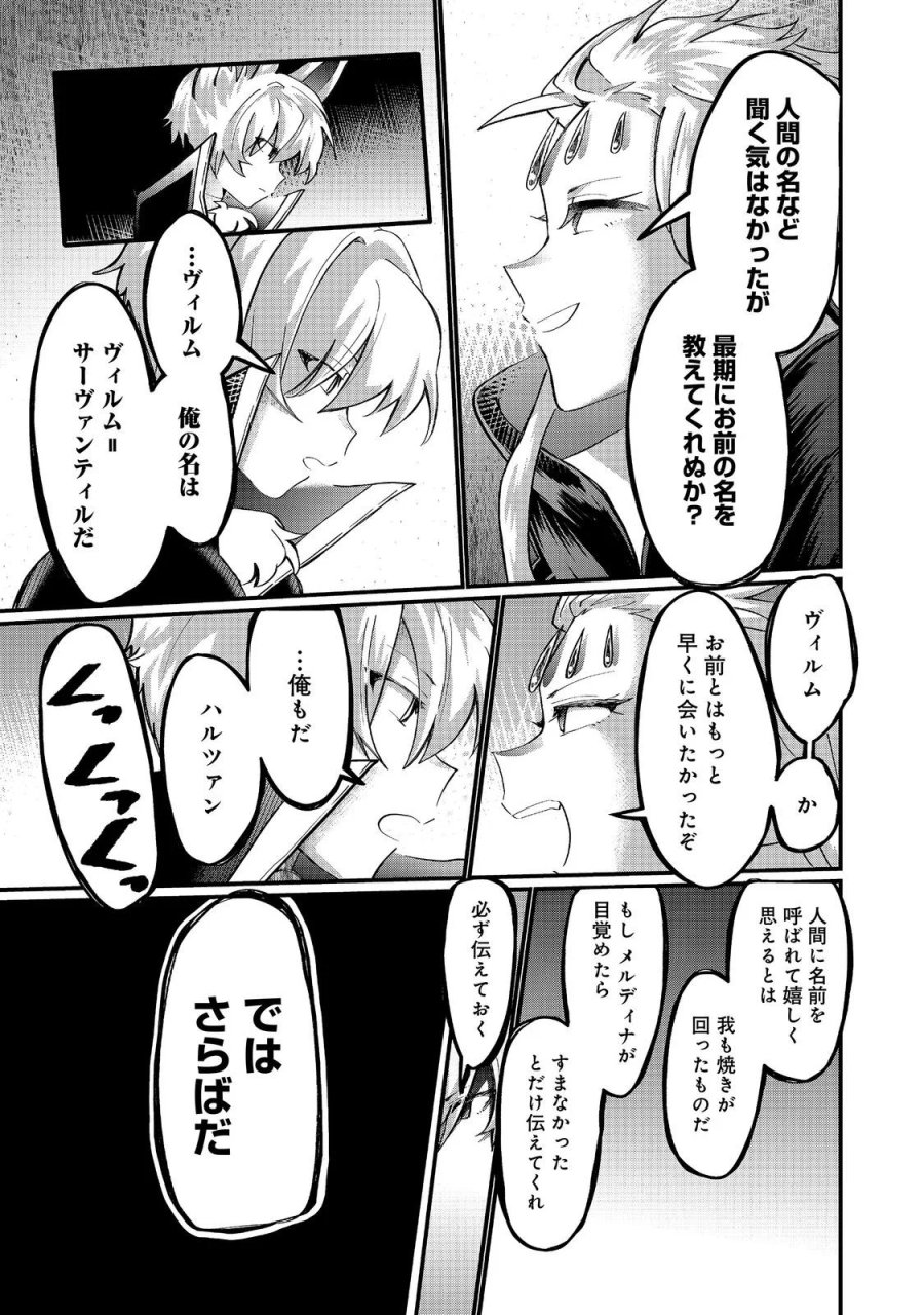 忌み子と呼ばれた召喚士 第47.1話 - Page 23