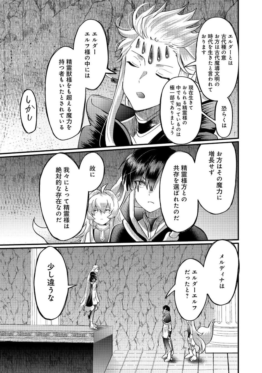 忌み子と呼ばれた召喚士 第47.1話 - Page 5