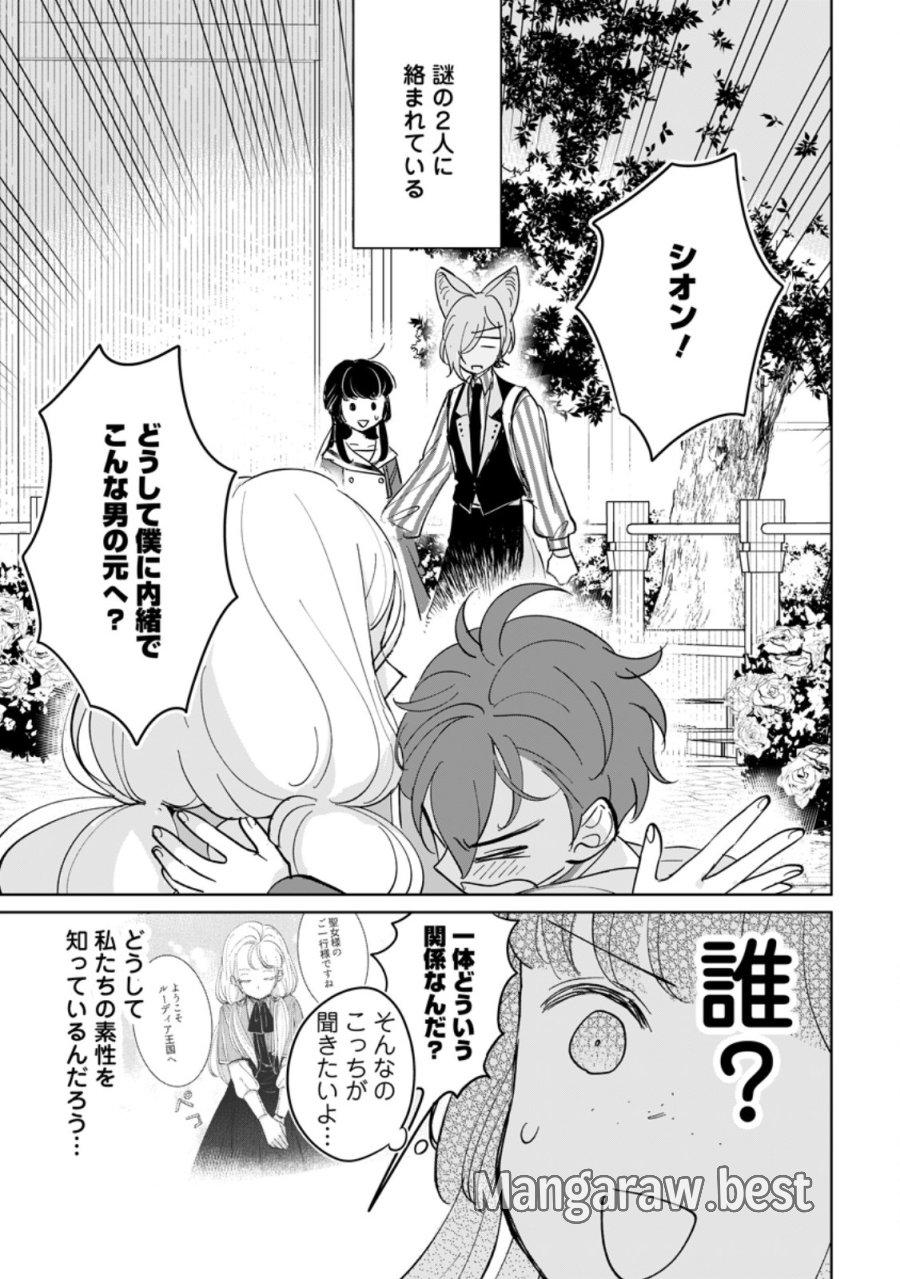 聖女じゃないと追放されたので、もふもふ従者(聖獣)とおにぎりを握る 第51.1話 - Trang 7