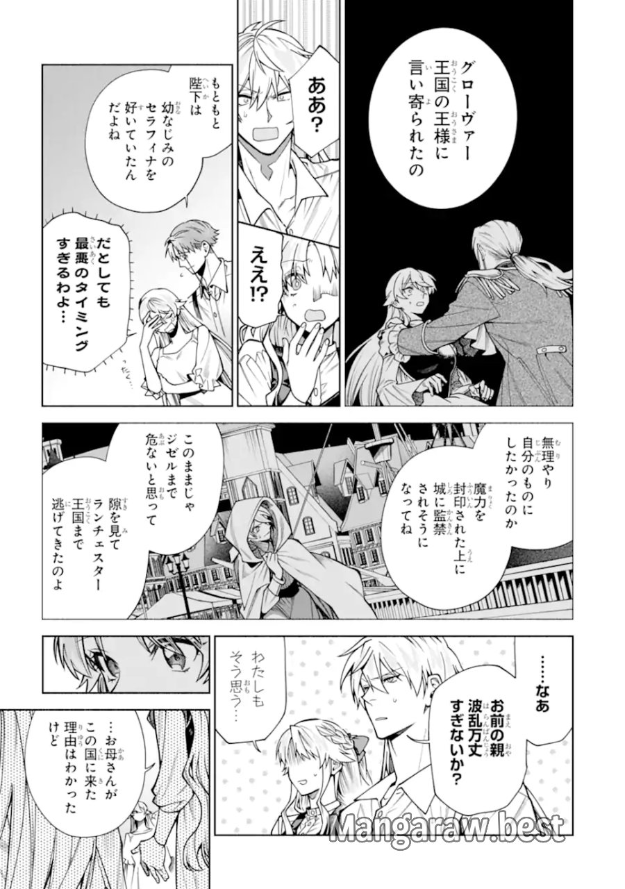 家から逃げ出したい私が、うっかり憧れの大魔法使い様を買ってしまったら 第40.2話 - Page 3