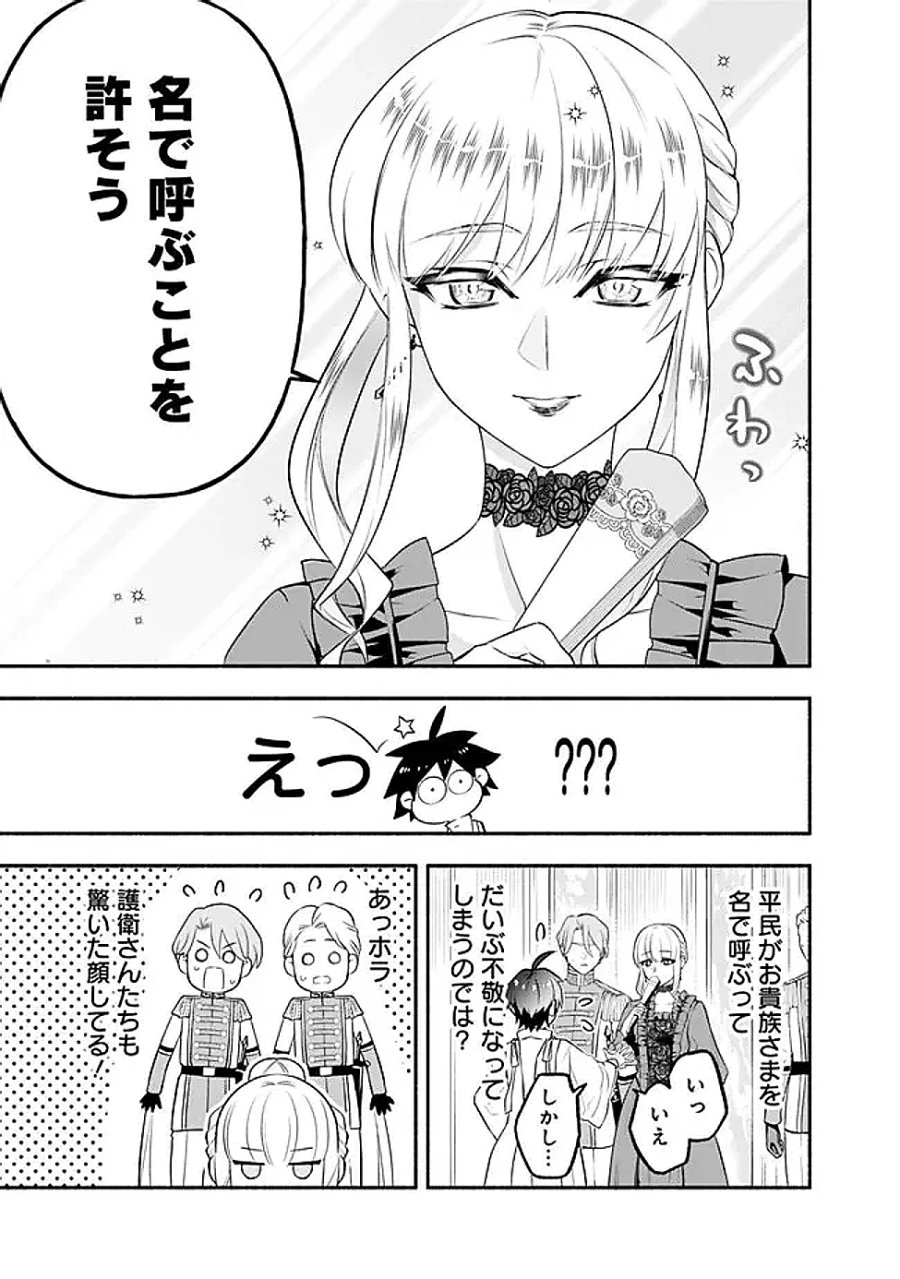 魔力量歴代最強な転生聖女さまの学園生活は波乱に満ち溢れているようです ～王子さまに悪役令嬢とヒロインぽい子たちがいるけれど、ここは乙女ゲー世界ですか?～ 第4話 - Page 29