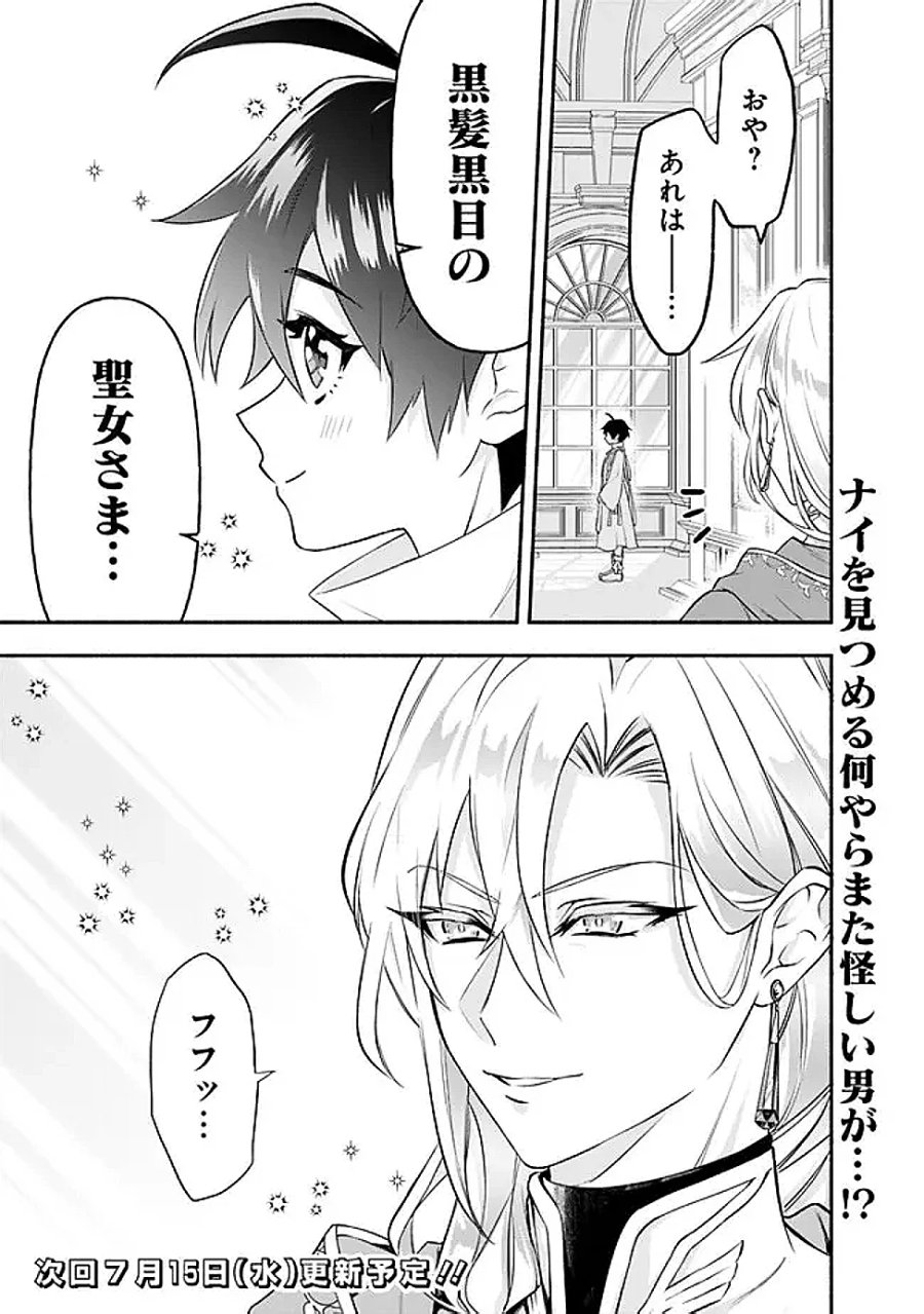 魔力量歴代最強な転生聖女さまの学園生活は波乱に満ち溢れているようです ～王子さまに悪役令嬢とヒロインぽい子たちがいるけれど、ここは乙女ゲー世界ですか?～ 第4話 - Page 33