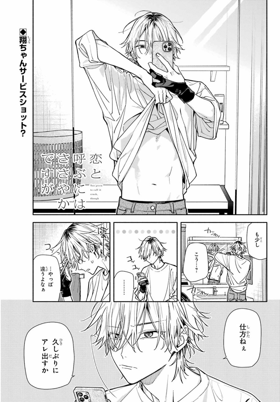 恋と呼ぶにはささやかですが 第8話 - Page 1