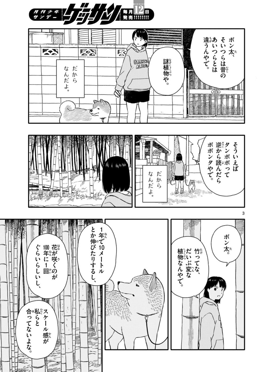 今日のさんぽんた 第41話 - Trang 3