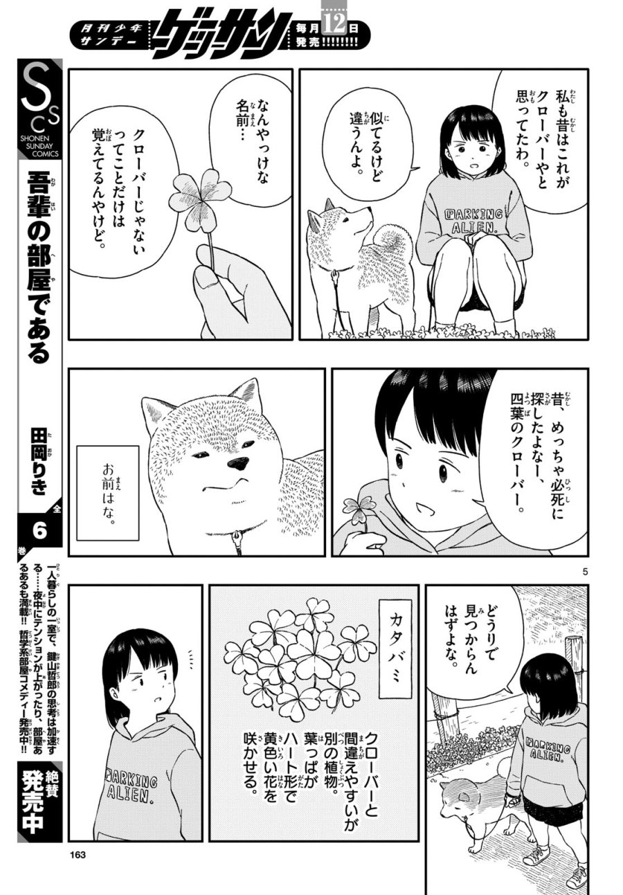 今日のさんぽんた 第41話 - Trang 5