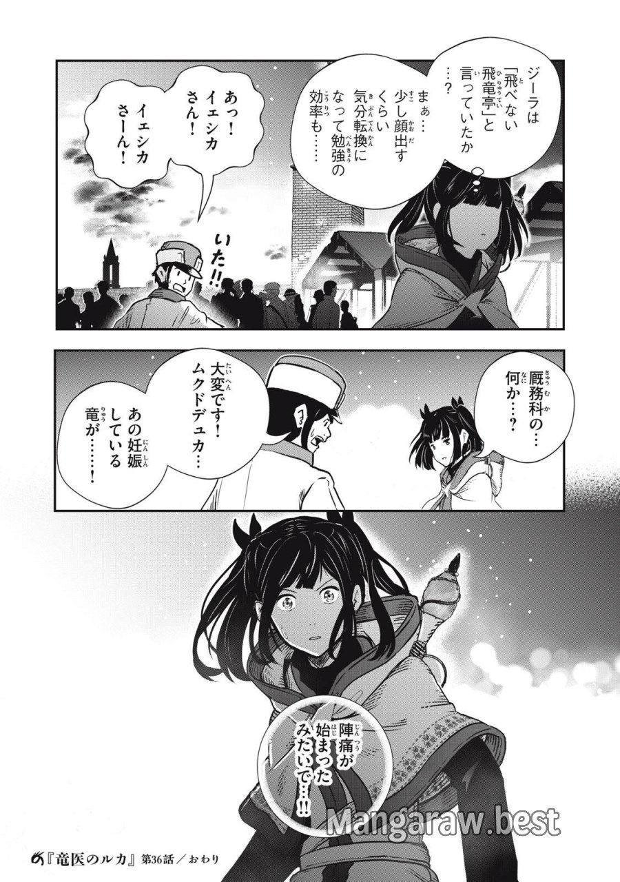 竜医のルカ 第36.2話 - Page 16