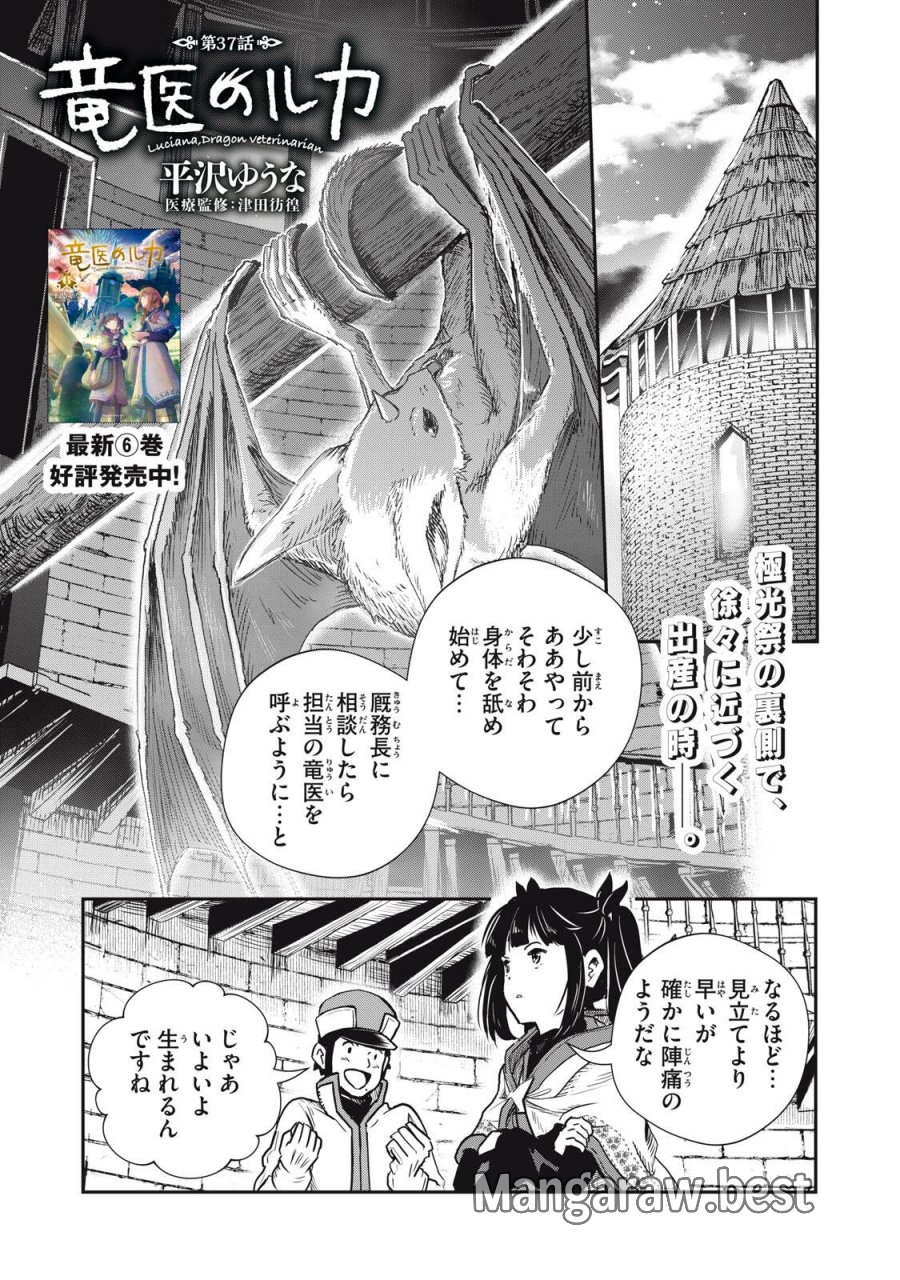 竜医のルカ 第37.1話 - Page 1