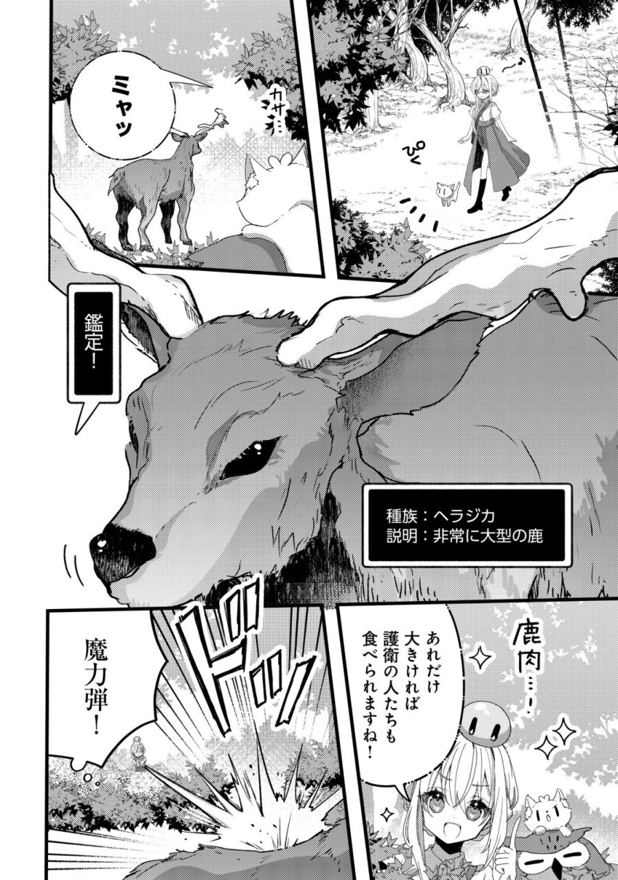 テイマー少女の逃亡日記 第13話 - Page 12