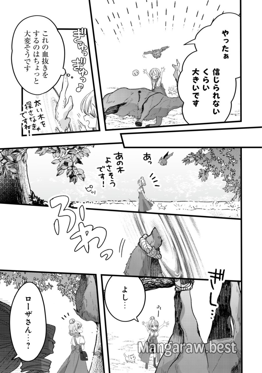 テイマー少女の逃亡日記 第13話 - Page 13