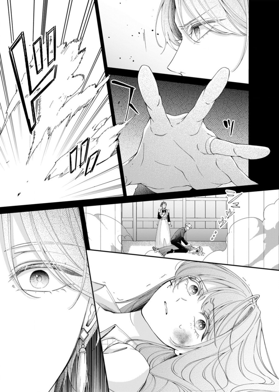 敵国の公爵様に愛されすぎて暗殺できません! 第5話 - Page 11