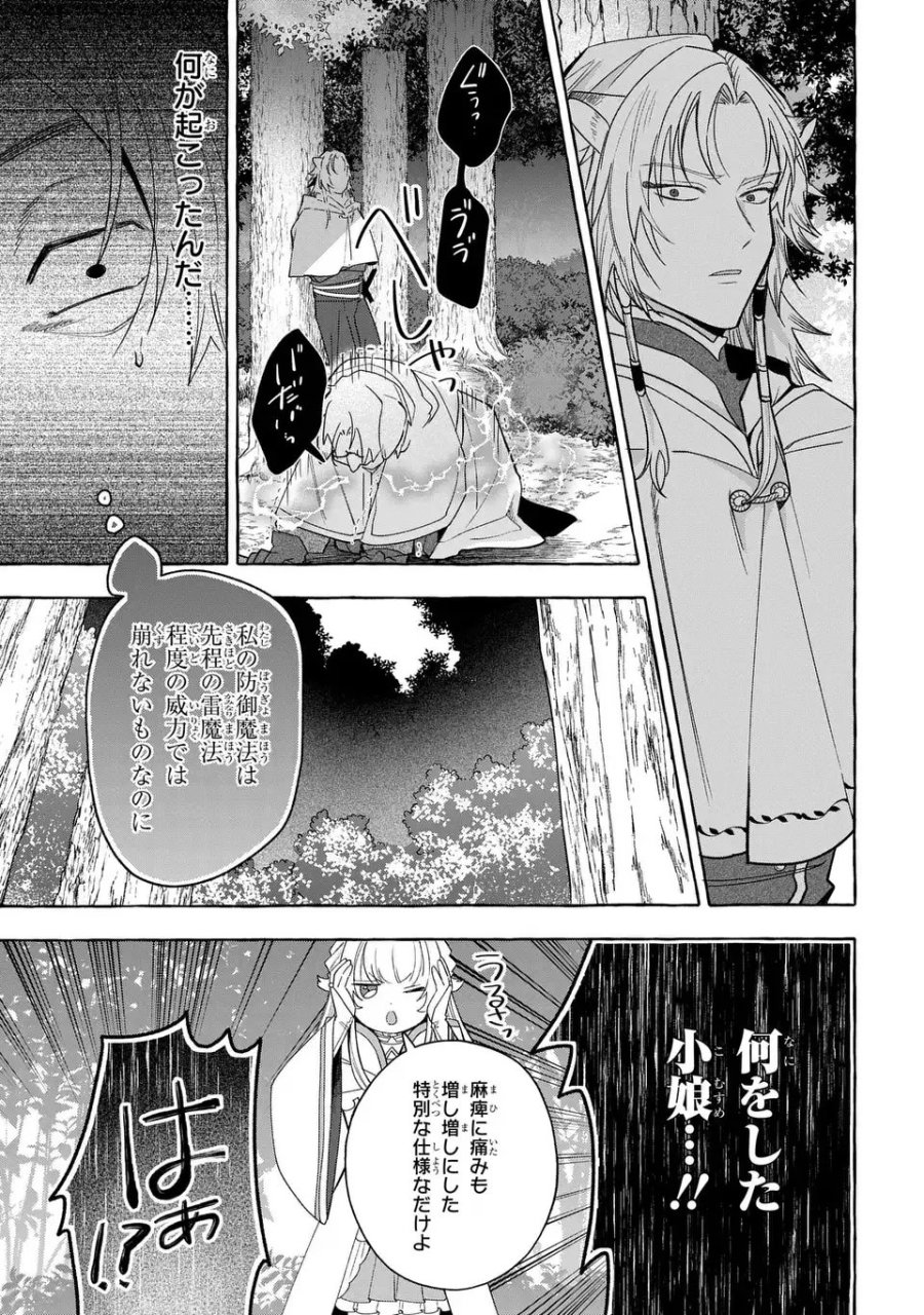 わたしの創った千年王国 天才魔導師の自由気ままな転生無双譚 第9話 - Page 13
