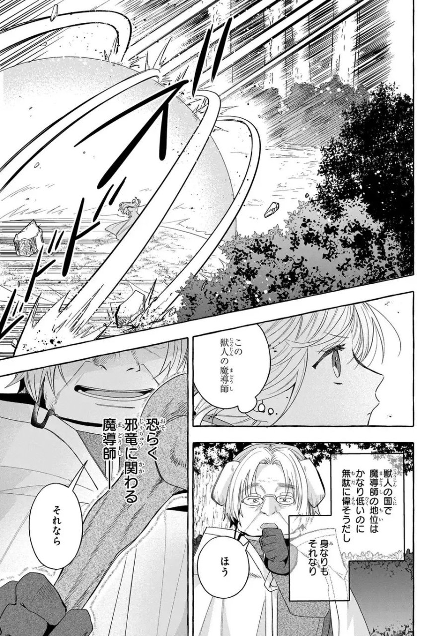 わたしの創った千年王国 天才魔導師の自由気ままな転生無双譚 第9話 - Page 5