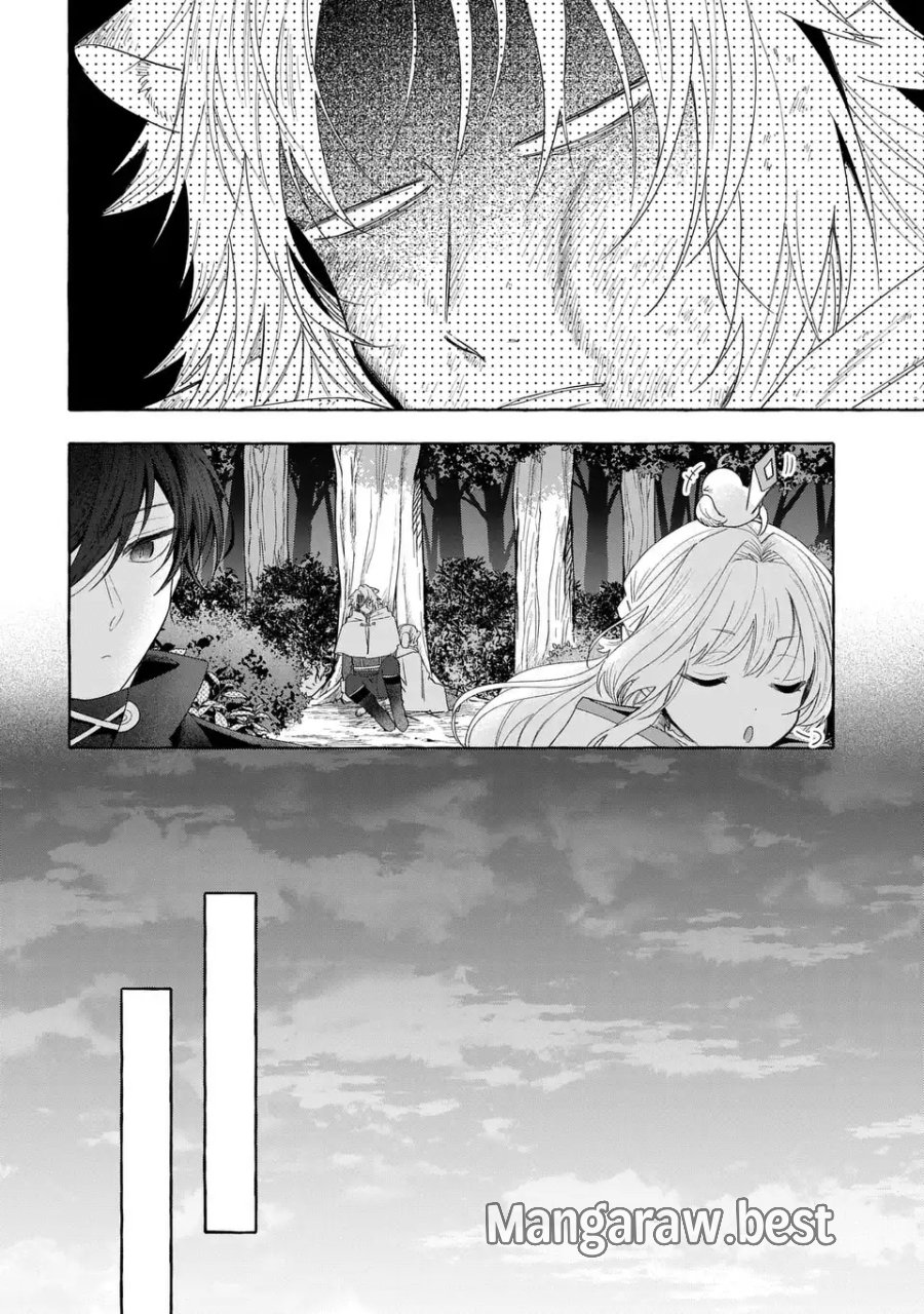 わたしの創った千年王国 天才魔導師の自由気ままな転生無双譚 第10話 - Page 16