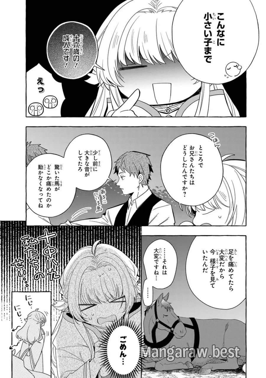 わたしの創った千年王国 天才魔導師の自由気ままな転生無双譚 第10話 - Page 19