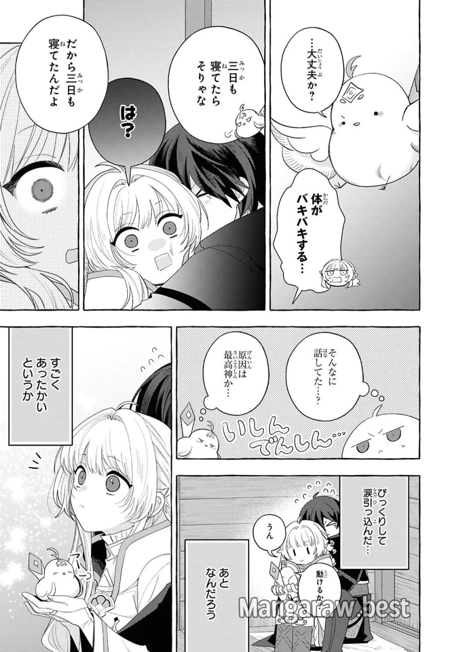 わたしの創った千年王国 天才魔導師の自由気ままな転生無双譚 第11話 - Page 19