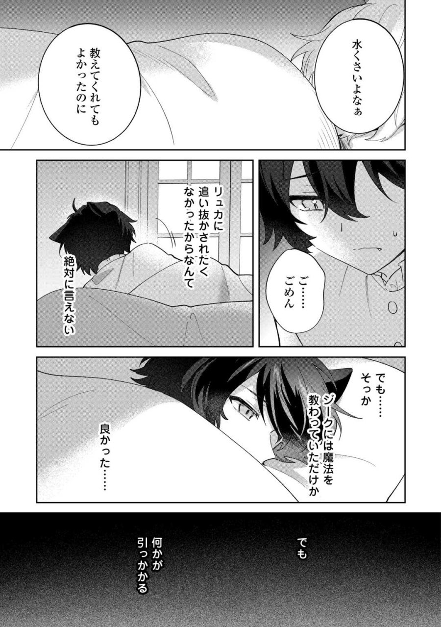 双子の王子に双子で婚約したけど「じゃない方」だから闇魔法を極める 第4話 - Page 11