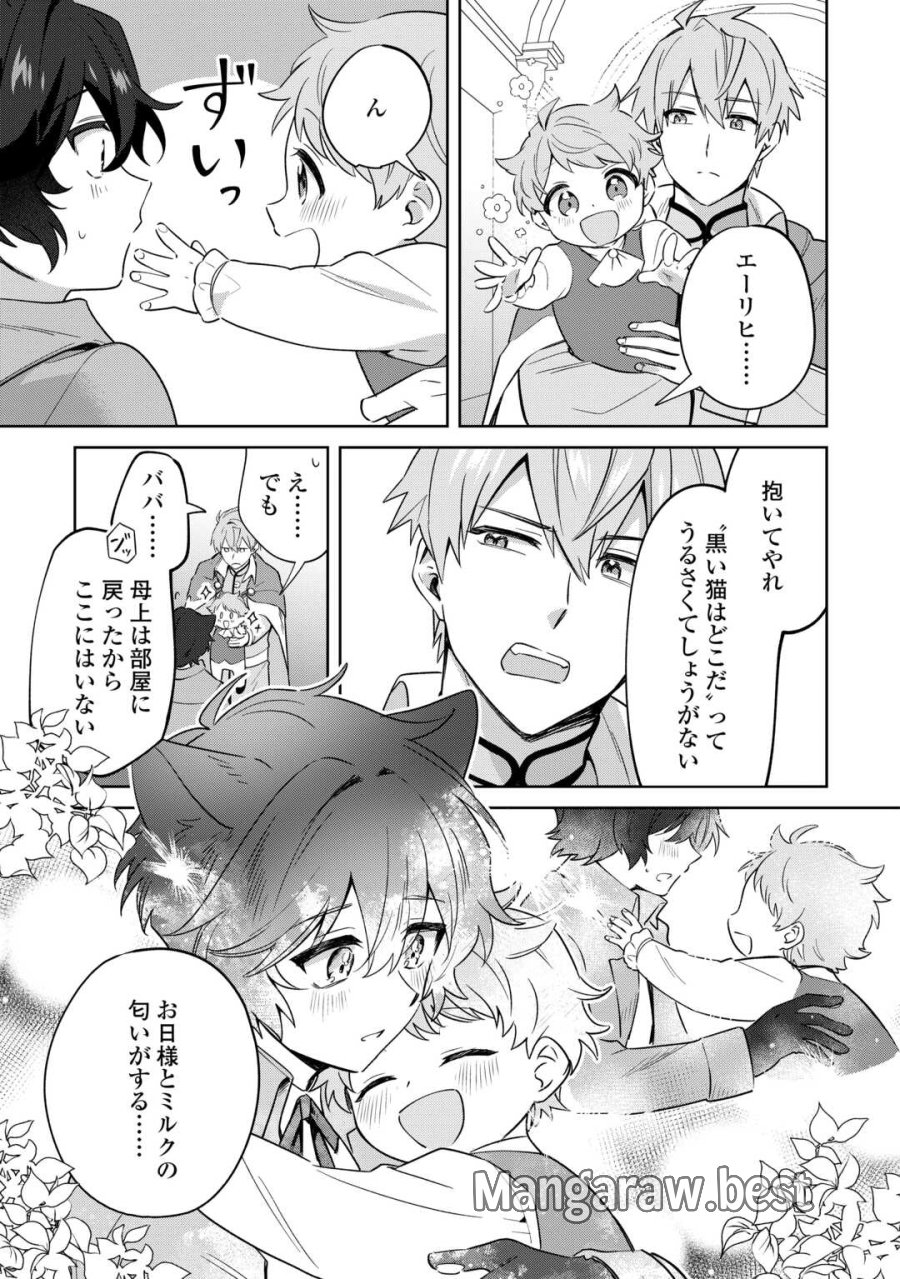 双子の王子に双子で婚約したけど「じゃない方」だから闇魔法を極める 第4話 - Page 17