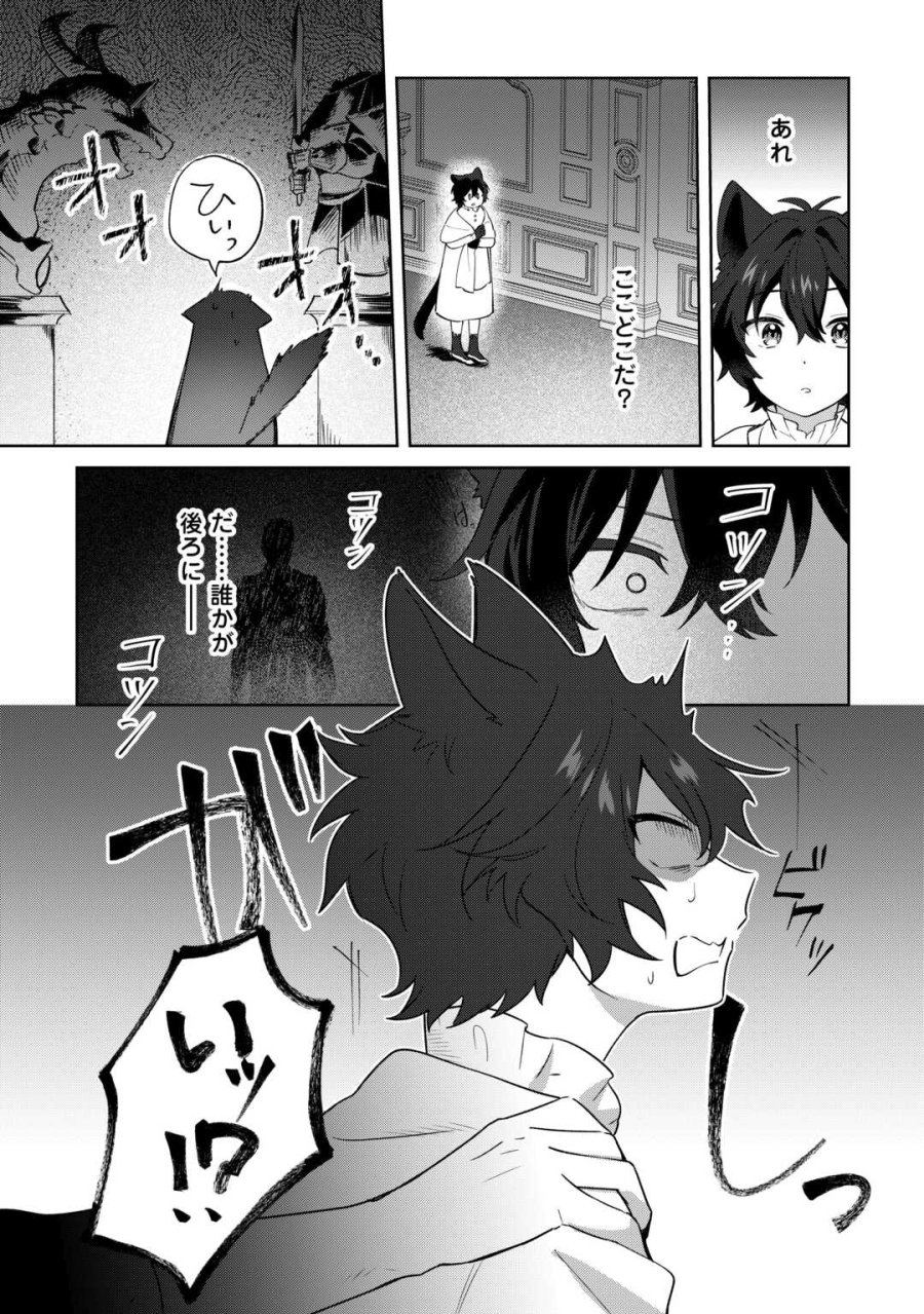 双子の王子に双子で婚約したけど「じゃない方」だから闇魔法を極める 第4話 - Page 3