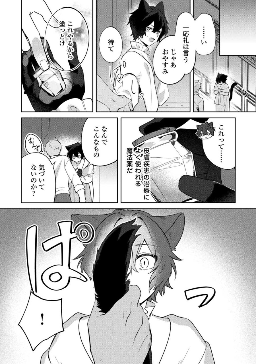 双子の王子に双子で婚約したけど「じゃない方」だから闇魔法を極める 第4話 - Page 6