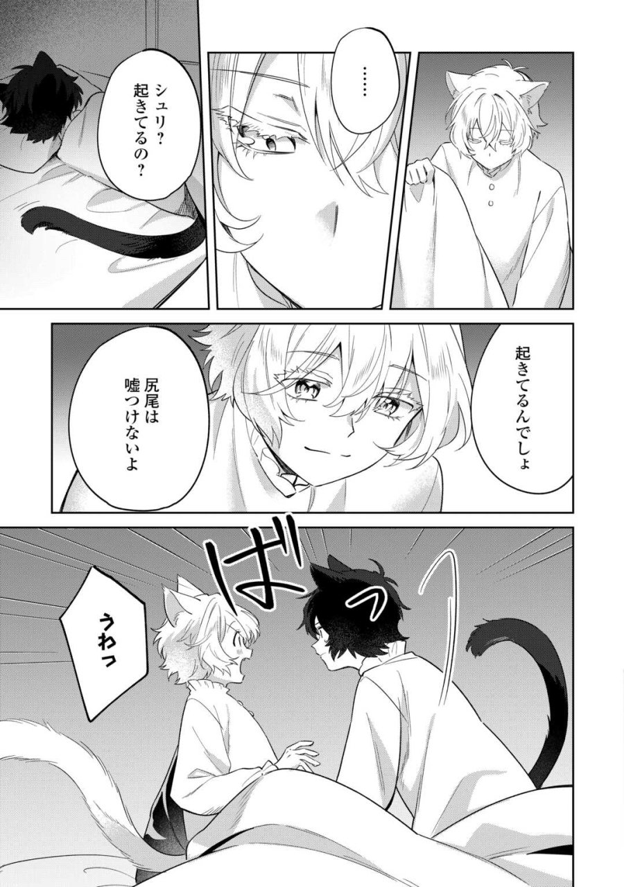 双子の王子に双子で婚約したけど「じゃない方」だから闇魔法を極める 第4話 - Page 9