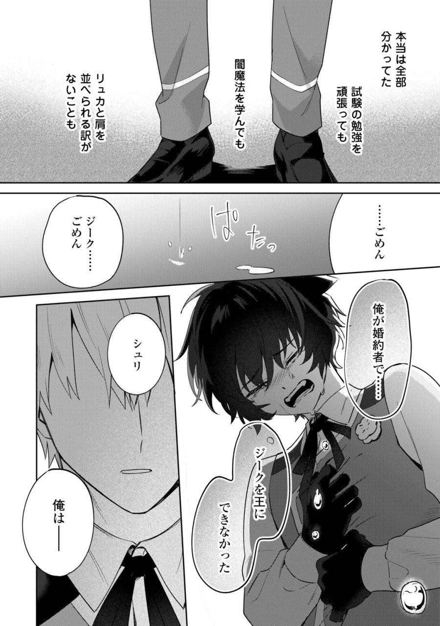 双子の王子に双子で婚約したけど「じゃない方」だから闇魔法を極める 第5話 - Page 25