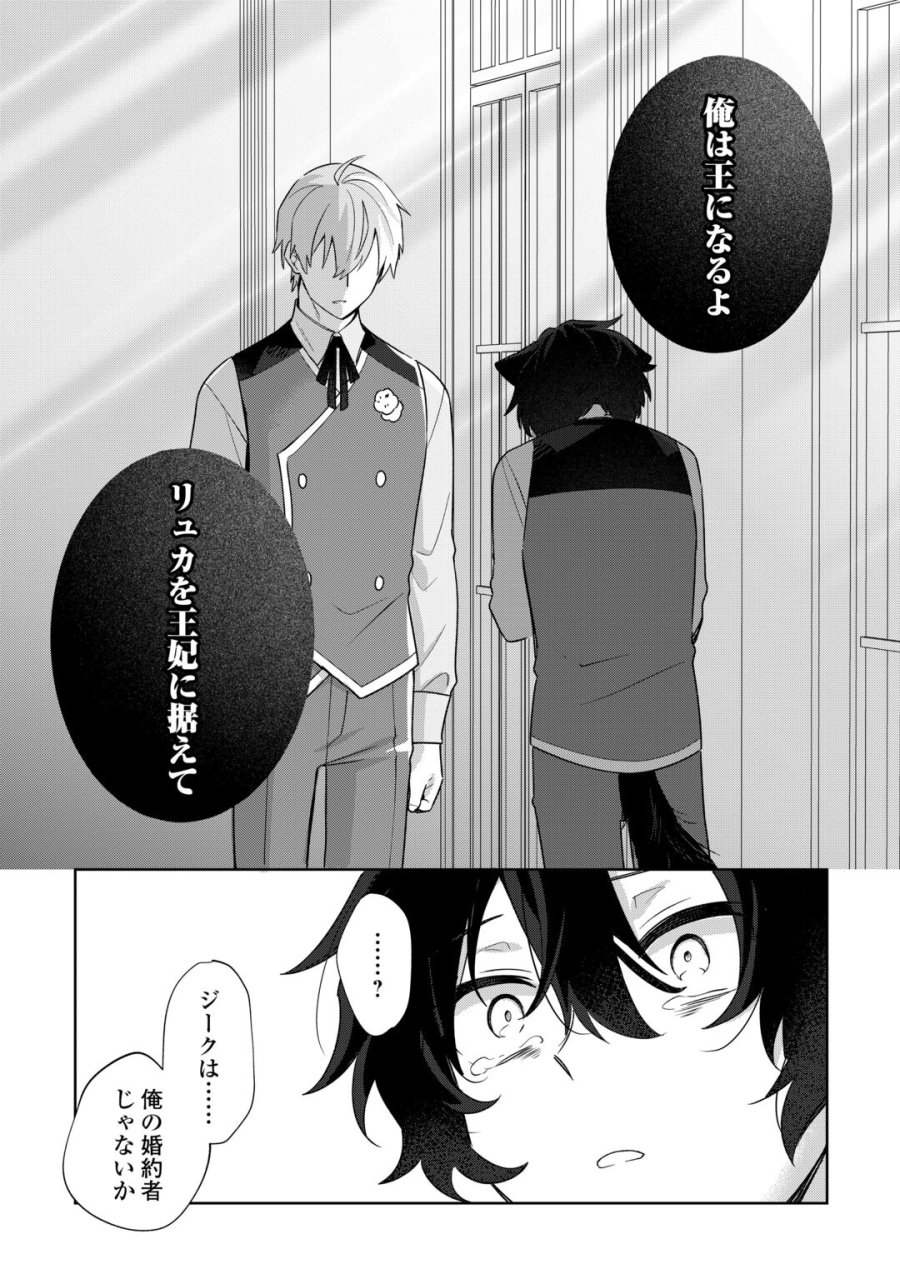 双子の王子に双子で婚約したけど「じゃない方」だから闇魔法を極める 第5話 - Page 26