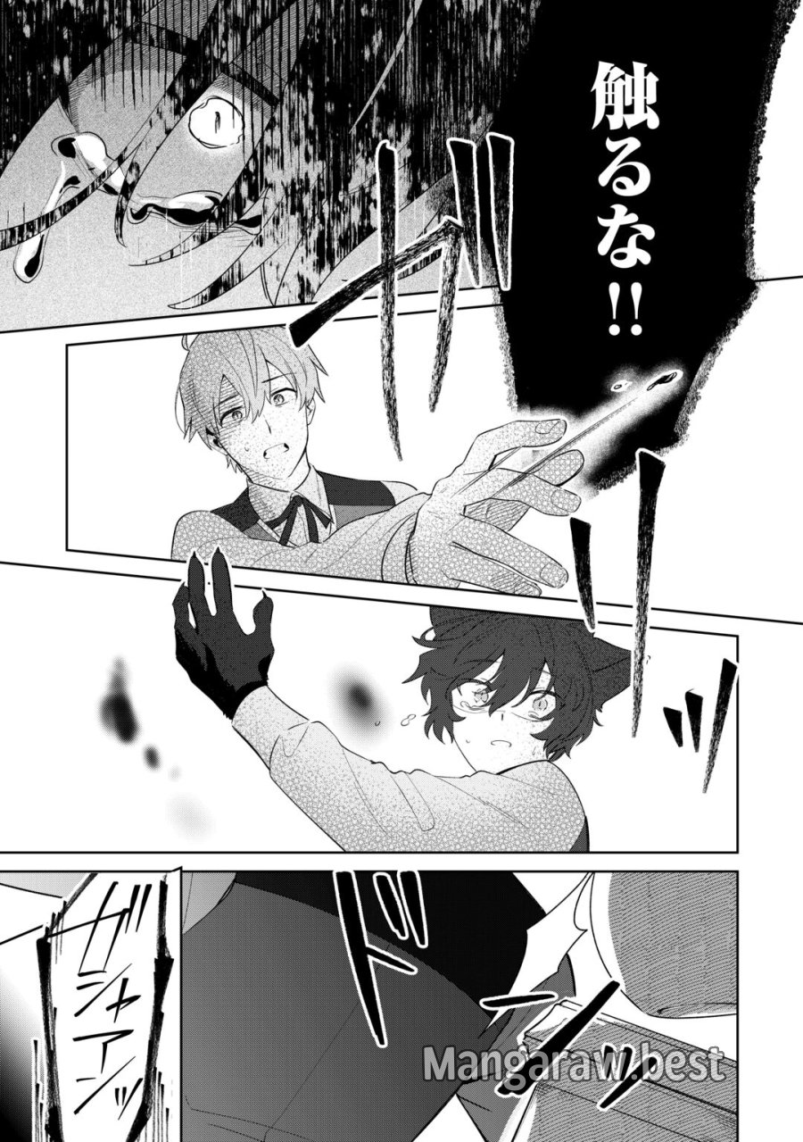 双子の王子に双子で婚約したけど「じゃない方」だから闇魔法を極める 第5話 - Page 33