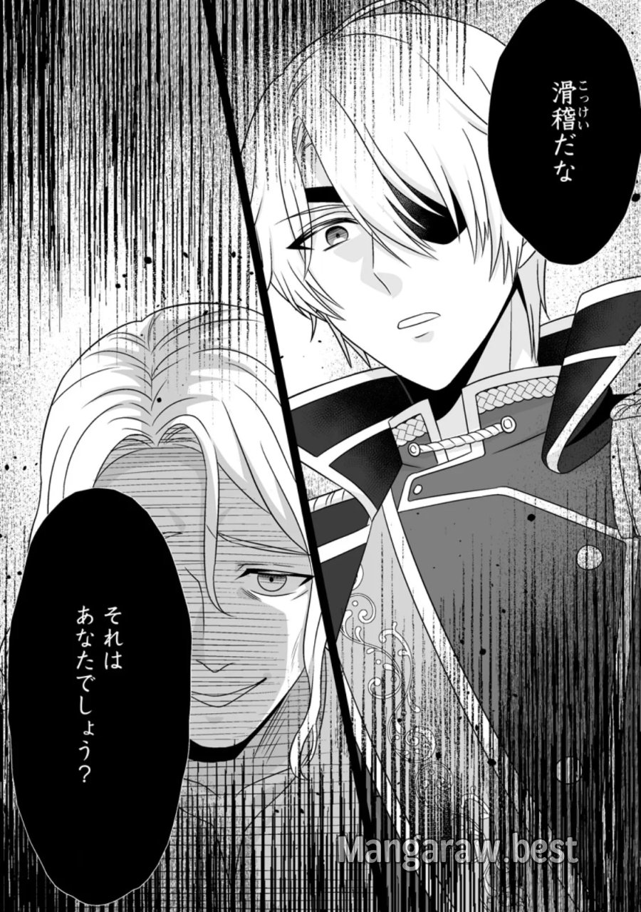身代わりで縁談に参加した愚妹の私、隣国の王子様に見初められました 第16.1話 - Page 2