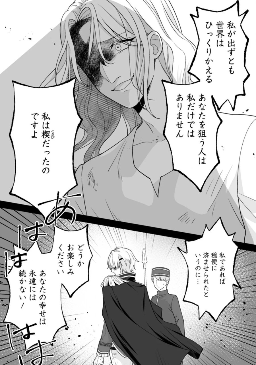 身代わりで縁談に参加した愚妹の私、隣国の王子様に見初められました 第16.1話 - Page 8