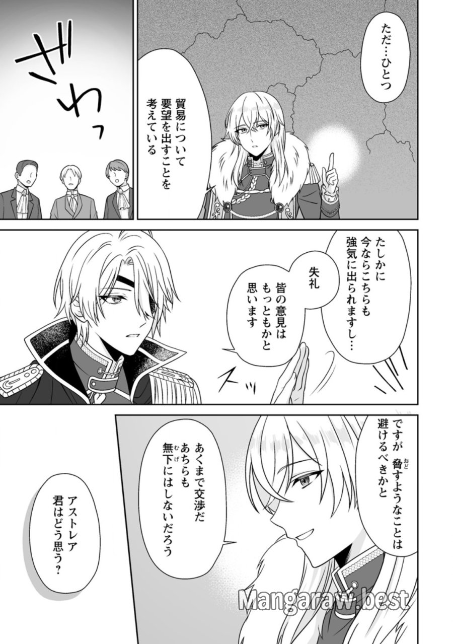 身代わりで縁談に参加した愚妹の私、隣国の王子様に見初められました 第14.1話 - Trang 3