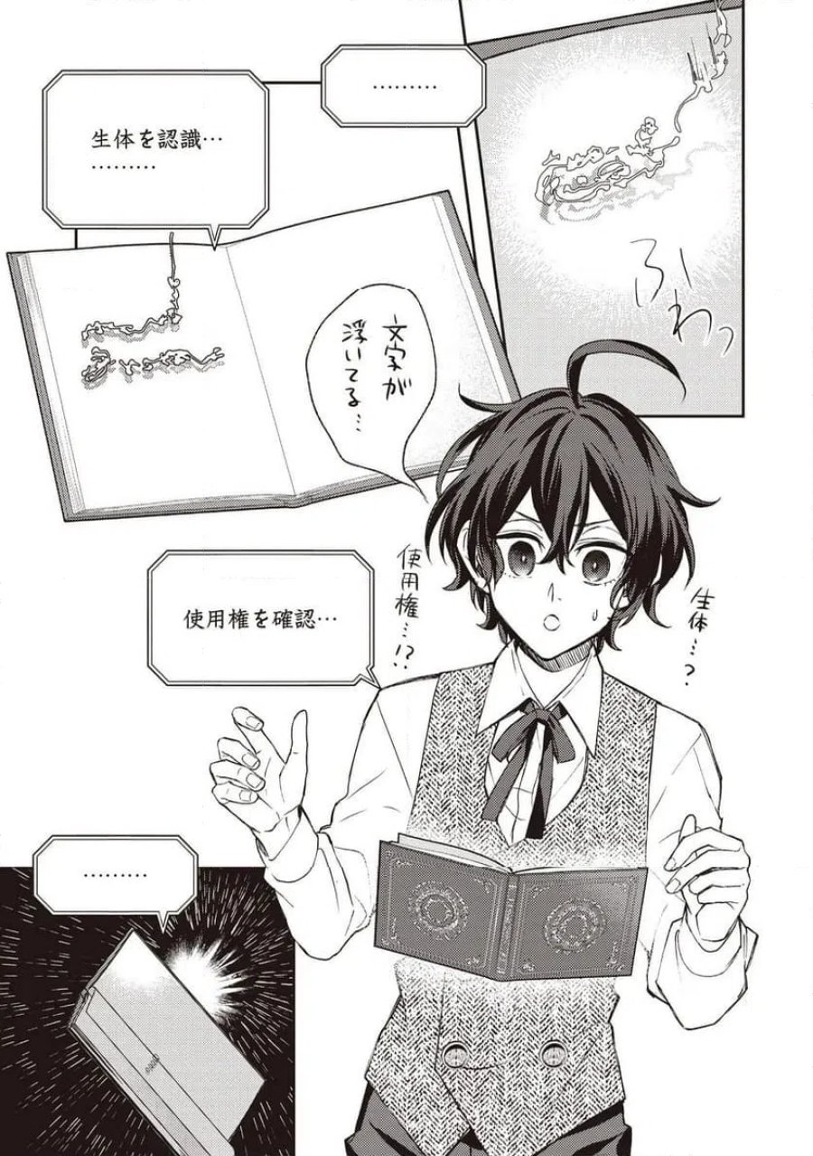 貴族の三男、でくの坊から最強魔術士へ。パラメーターを調節して、すべての魔術を魔改造! ～気ままに遊んでいるだけなのに、何故か評価が上がっていく件について～ 第1話 - Page 17