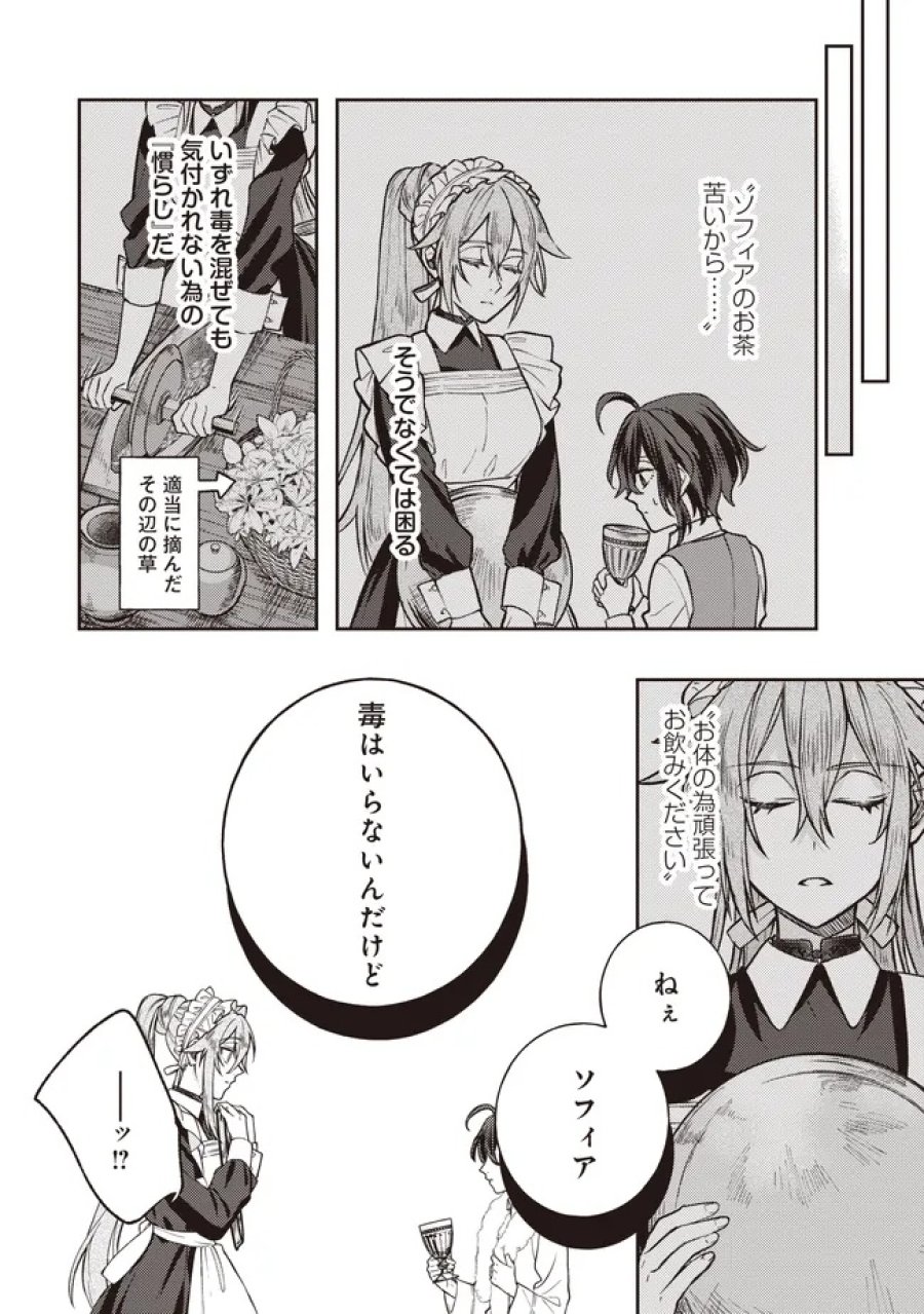 貴族の三男、でくの坊から最強魔術士へ。パラメーターを調節して、すべての魔術を魔改造! ～気ままに遊んでいるだけなのに、何故か評価が上がっていく件について～ 第4.1話 - Page 10
