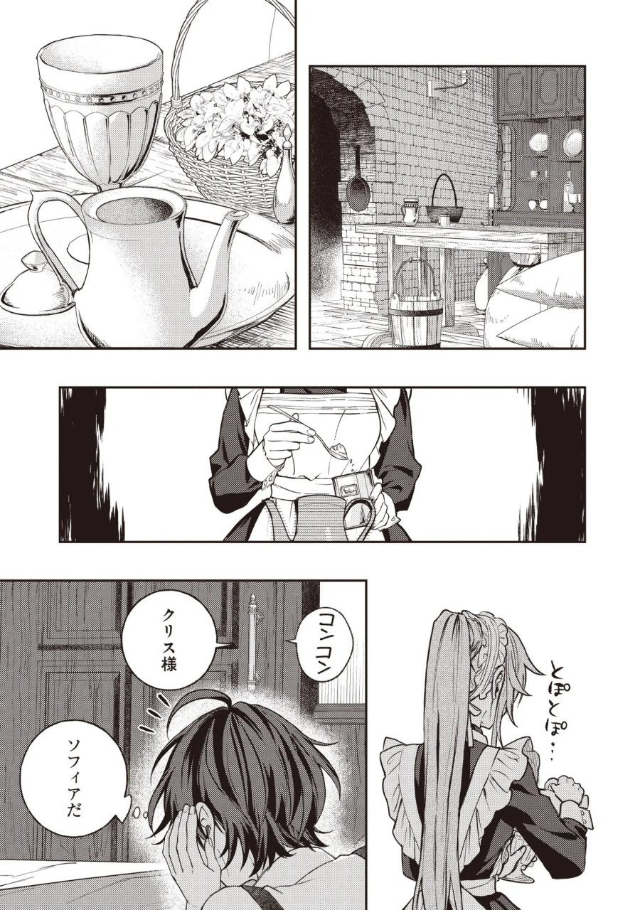 貴族の三男、でくの坊から最強魔術士へ。パラメーターを調節して、すべての魔術を魔改造! ～気ままに遊んでいるだけなのに、何故か評価が上がっていく件について～ 第2.2話 - Page 13