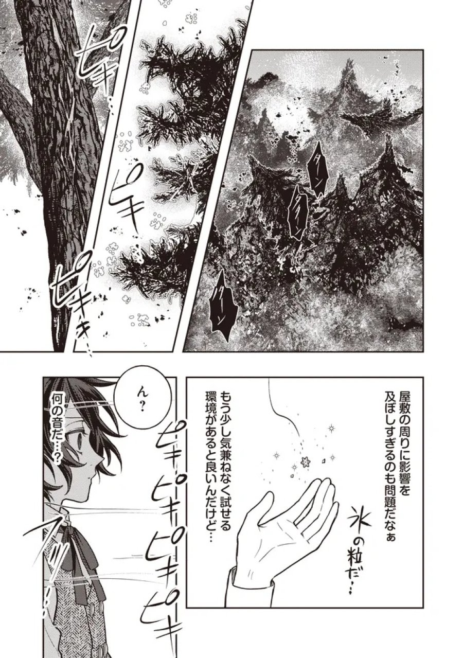 貴族の三男、でくの坊から最強魔術士へ。パラメーターを調節して、すべての魔術を魔改造! ～気ままに遊んでいるだけなのに、何故か評価が上がっていく件について～ 第5.1話 - Page 11