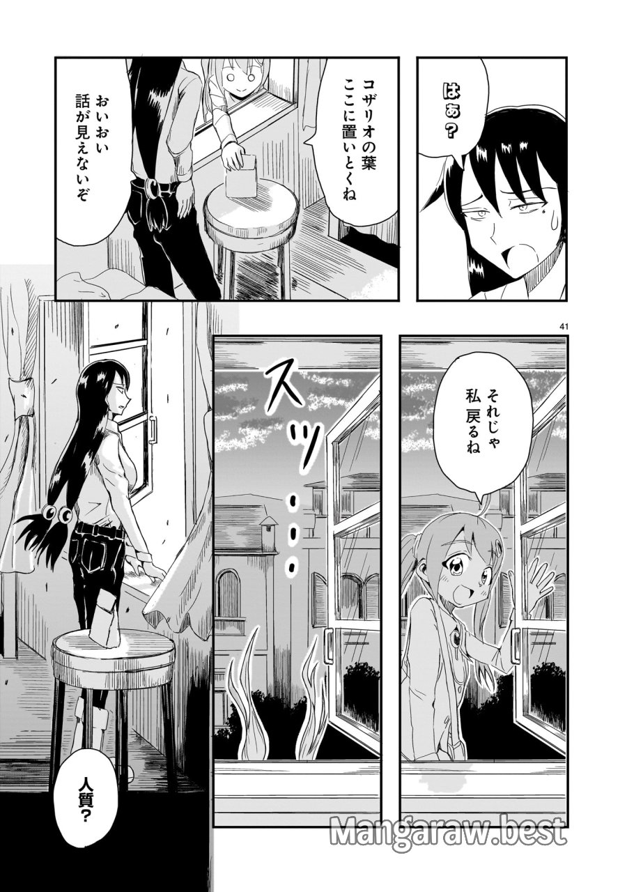 悪い魔女の拾い子 第1話 - Page 41