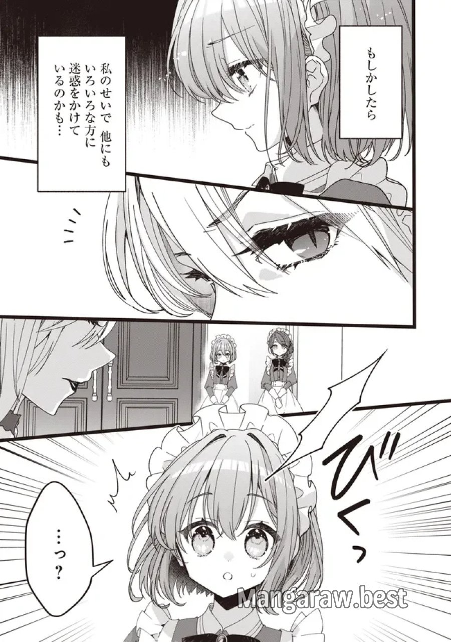 姿を偽っていた令嬢は、女嫌いな公爵様のお世話係をしているうちに溺愛されていたみたいです 第6.2話 - Page 3