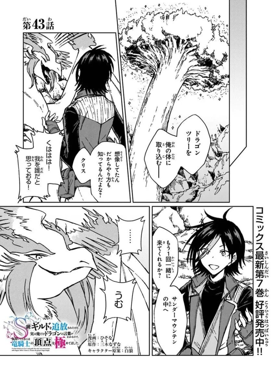 S級ギルドを追放されたけど、実は俺だけドラゴンの言葉がわかるので、気付いたときには竜騎士の頂点を極めてました。 第43.1話 - Trang 1