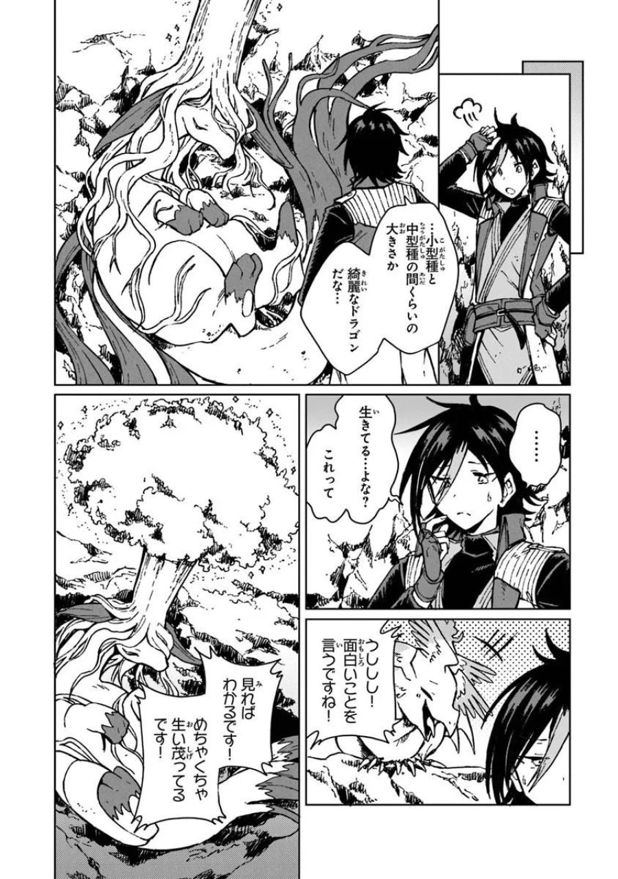 S級ギルドを追放されたけど、実は俺だけドラゴンの言葉がわかるので、気付いたときには竜騎士の頂点を極めてました。 第43.1話 - Trang 12