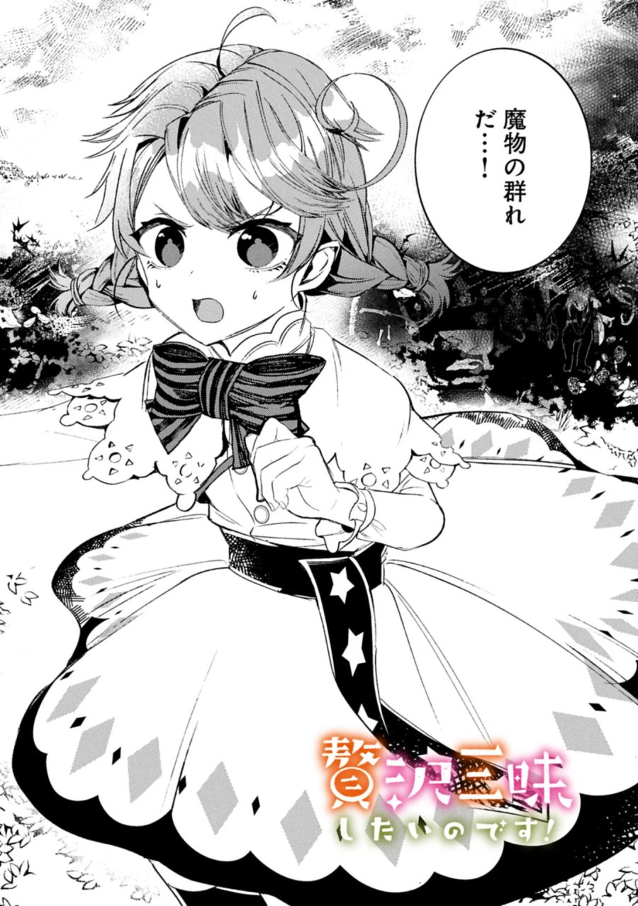 贅沢三昧したいのです！ 転生したのに貧乏なんて許せないので、魔法で領地改革 第44.1話 - Page 2