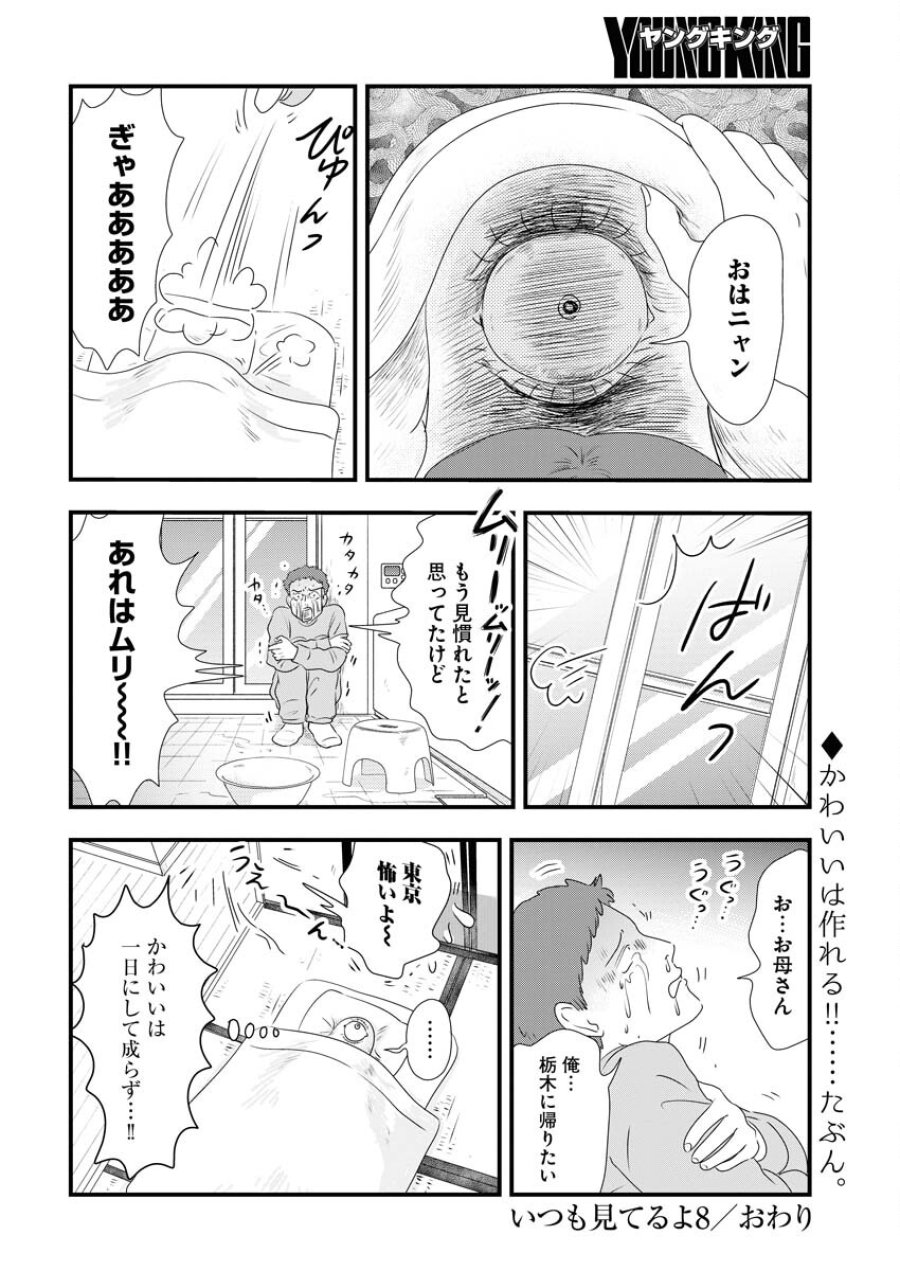 トーキョーカモフラージュアワー 第86話 - Trang 4