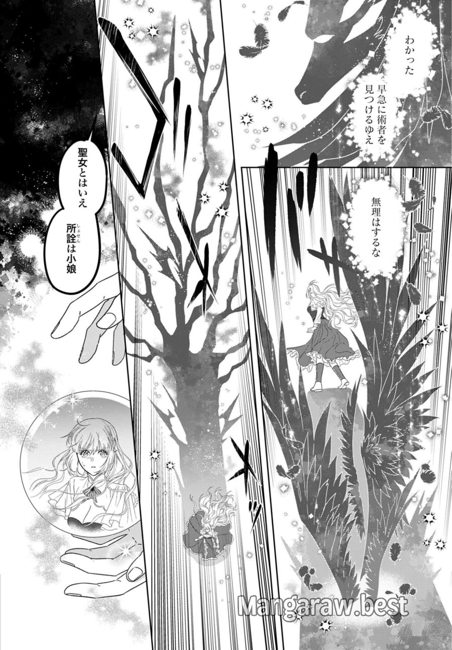 最強公爵令嬢の辺境おしかけ婚 フラウリーナ・ローゼンハイムは運命の追放魔導師に嫁ぎたい 第10話 - Trang 12