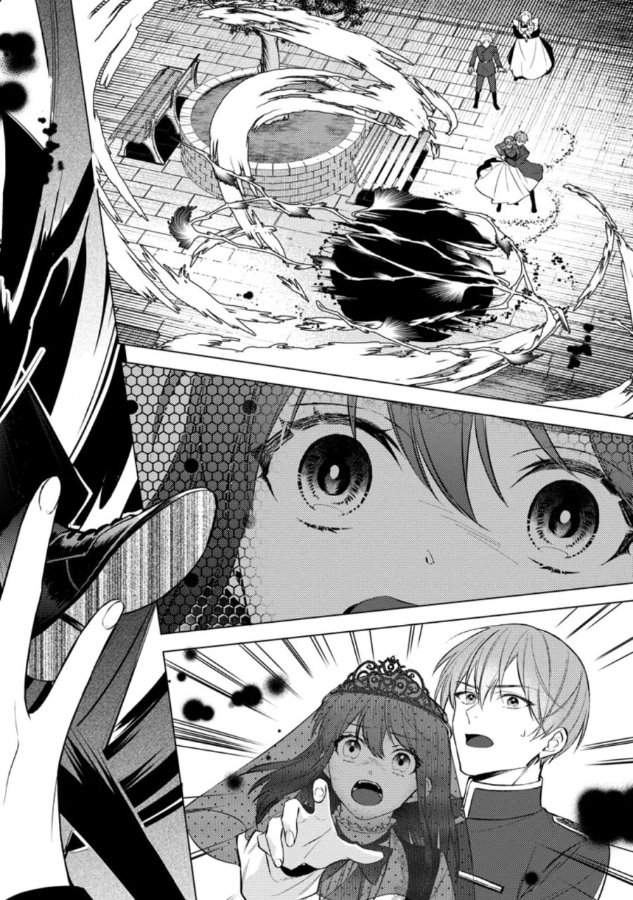 ヴェールの聖女 ヴェールの聖女 ～醜いと誤解された聖女、イケメン護衛騎士に溺愛される～ 第28.4話 - Page 9