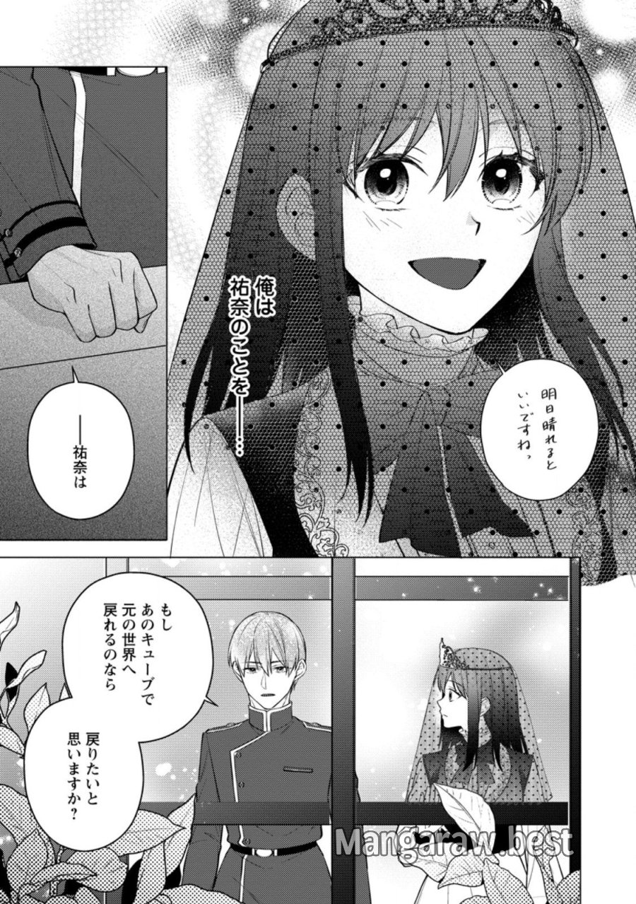 ヴェールの聖女 ヴェールの聖女 ～醜いと誤解された聖女、イケメン護衛騎士に溺愛される～ 第29.3話 - Page 4