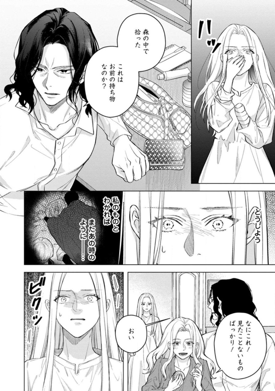 ヴェールの聖女 ヴェールの聖女 ～醜いと誤解された聖女、イケメン護衛騎士に溺愛される～ 第27.2話 - Page 3