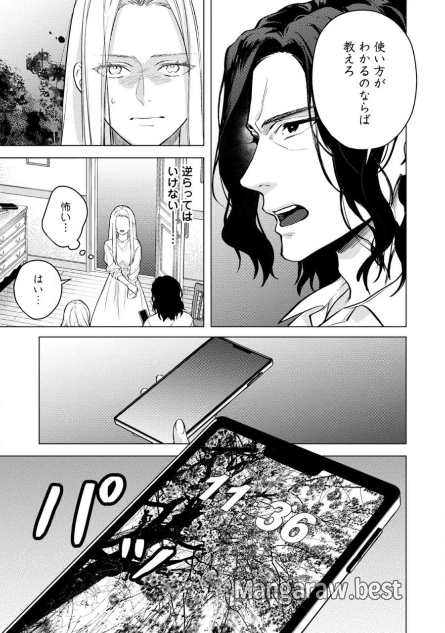 ヴェールの聖女 ヴェールの聖女 ～醜いと誤解された聖女、イケメン護衛騎士に溺愛される～ 第27.2話 - Page 4