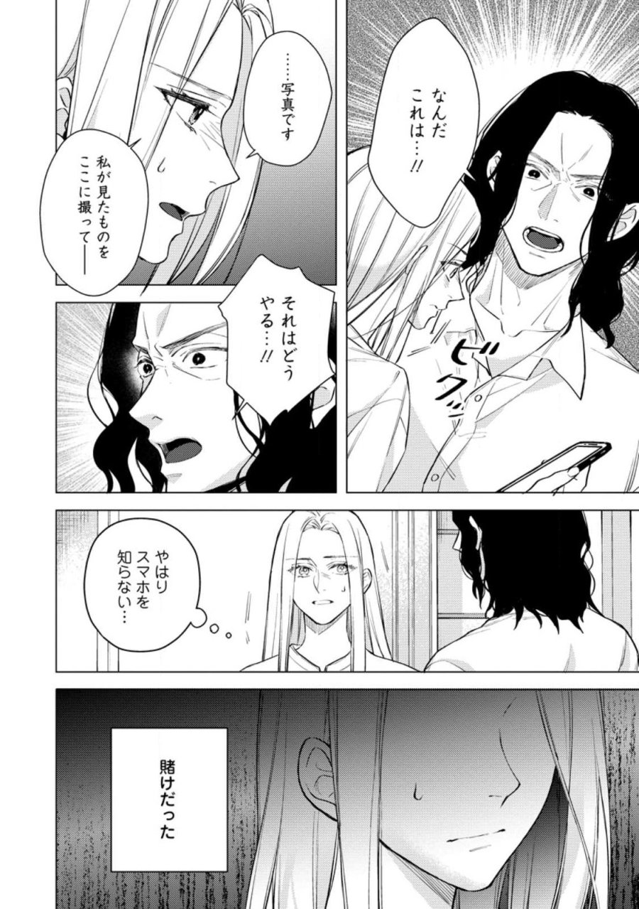 ヴェールの聖女 ヴェールの聖女 ～醜いと誤解された聖女、イケメン護衛騎士に溺愛される～ 第27.2話 - Page 5