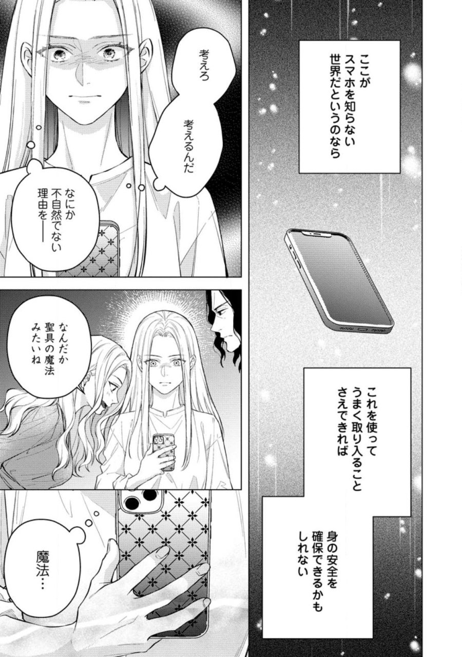 ヴェールの聖女 ヴェールの聖女 ～醜いと誤解された聖女、イケメン護衛騎士に溺愛される～ 第27.2話 - Page 6