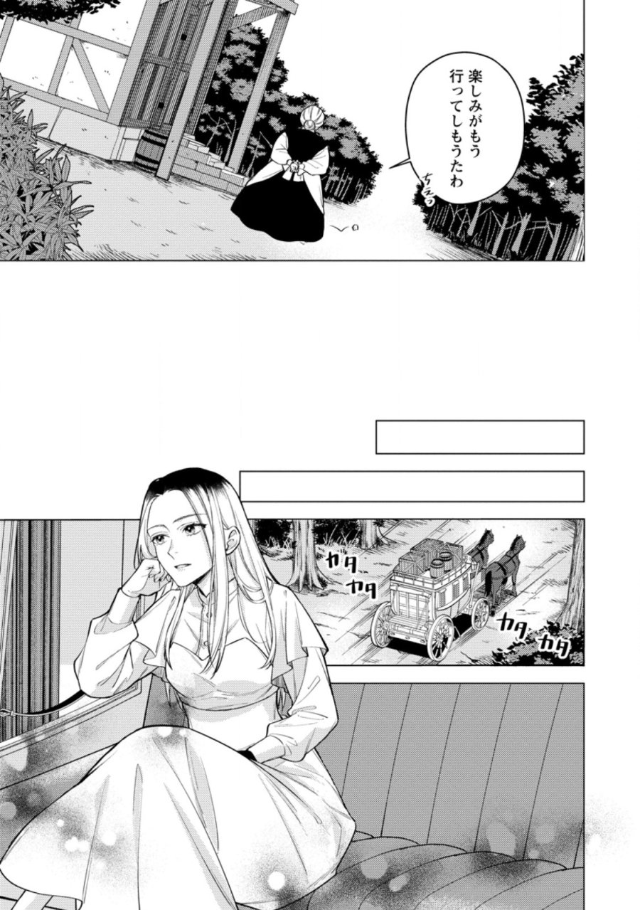 ヴェールの聖女 ヴェールの聖女 ～醜いと誤解された聖女、イケメン護衛騎士に溺愛される～ 第27.1話 - Page 9