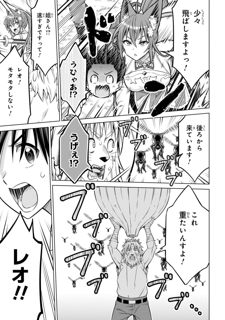 国王である兄から辺境に追放されたけど平穏に暮らしたい ～目指せスローライフ～ 第15.2話 - Page 11